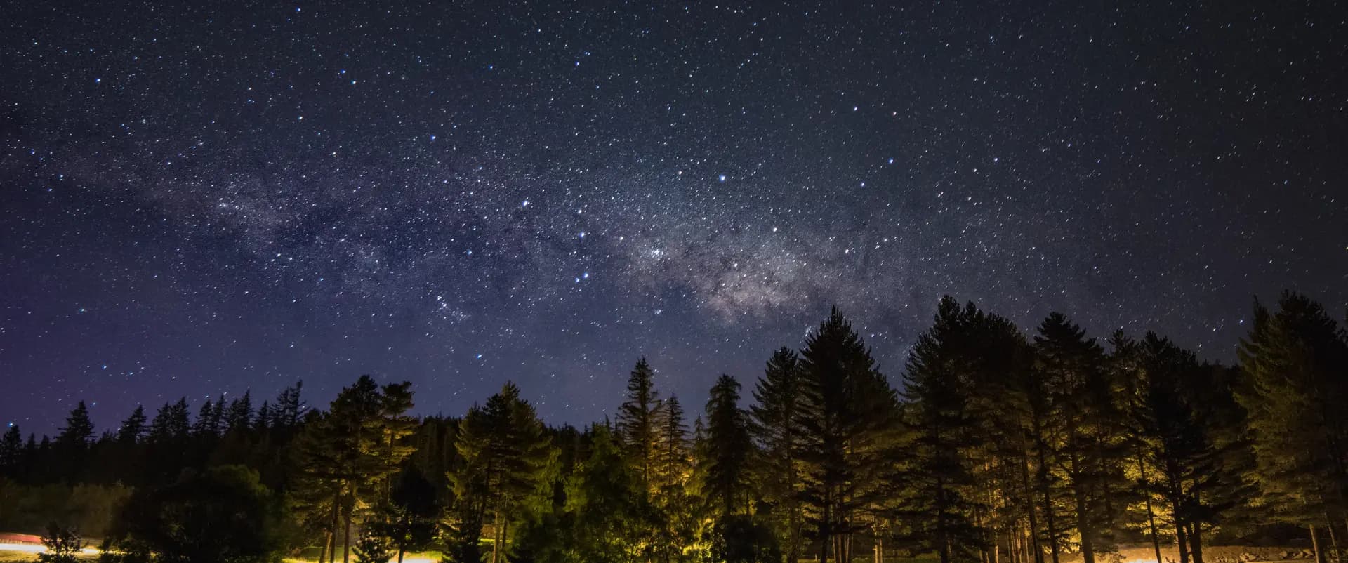 Milky Way visible above a silhouetted pine forest at night