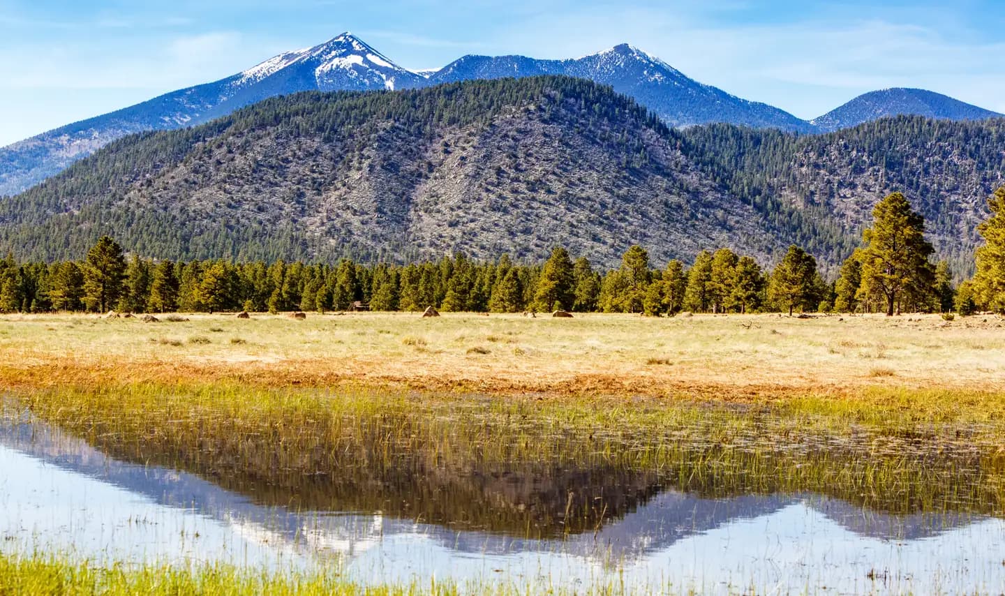 Snow-capped San Francisco Peaks reflected in a meadow pond near Flagstaff