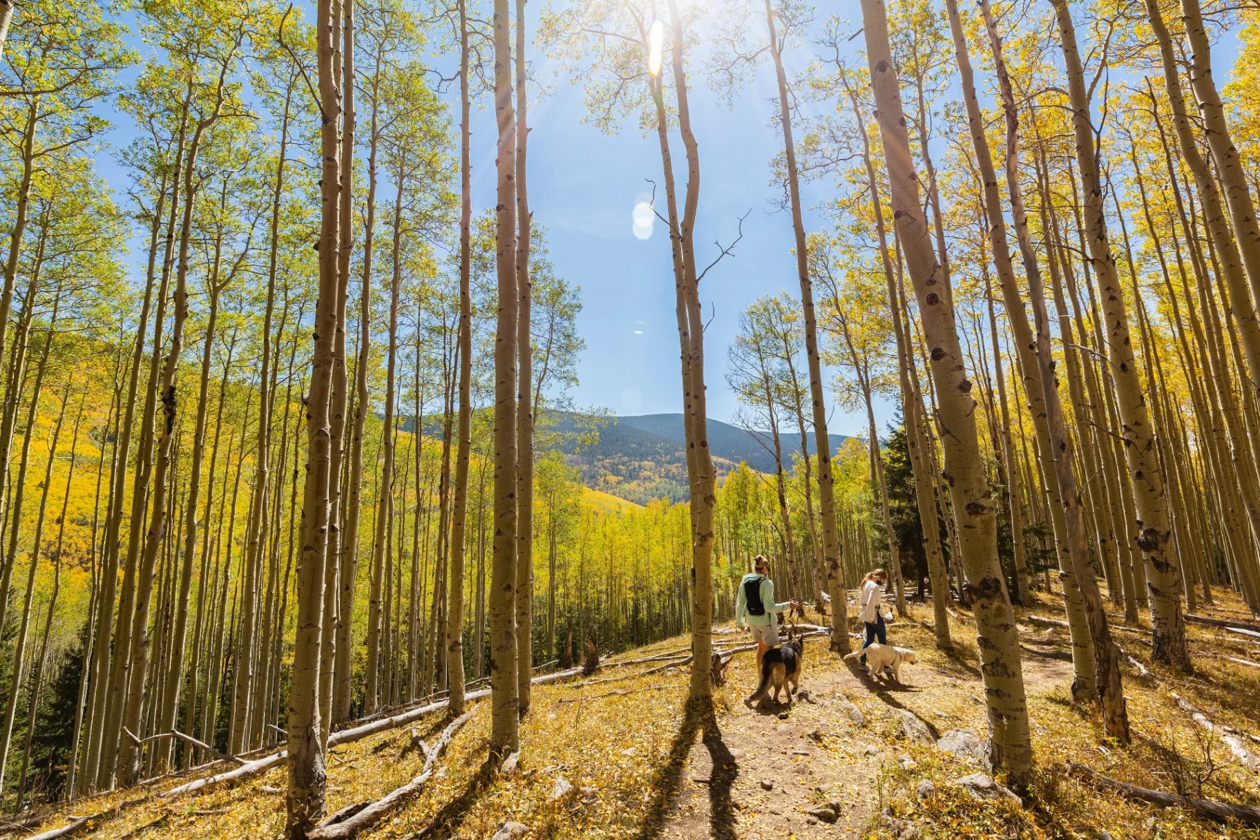 Active lifestyle supported by peptide therapy