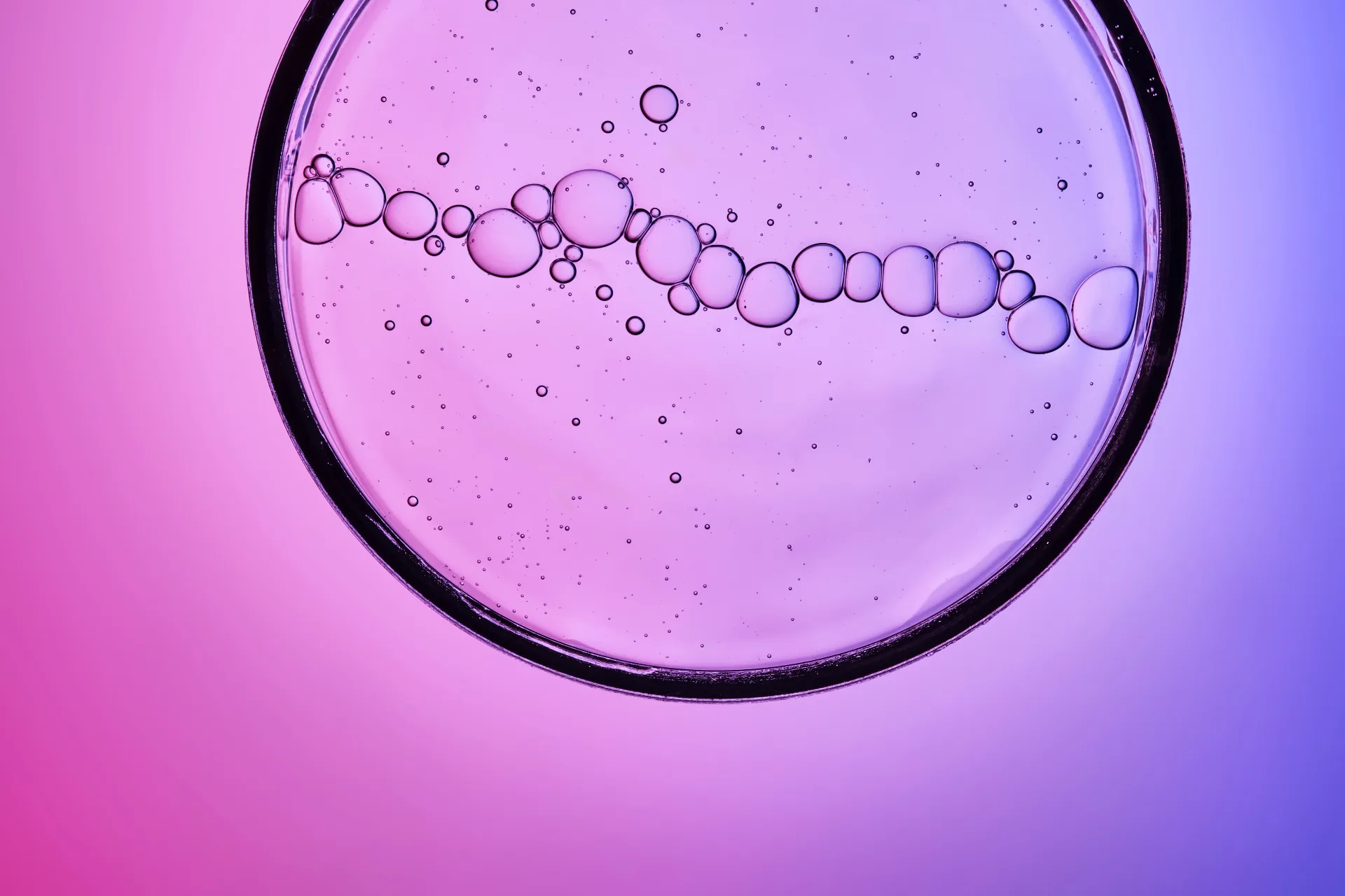 Thyroid & Metabolic Optimization